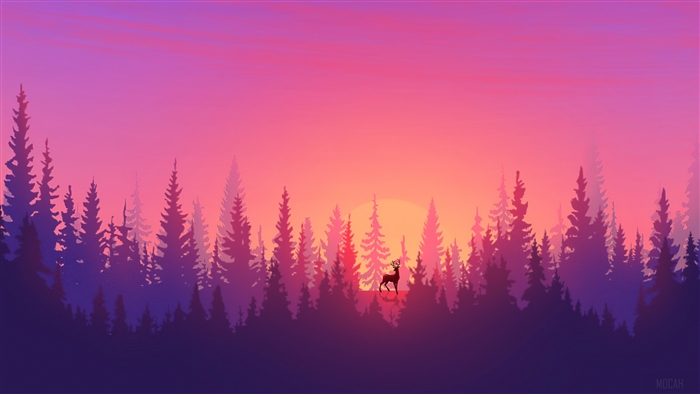 Minimalist Forest Sunset Scenery 4K