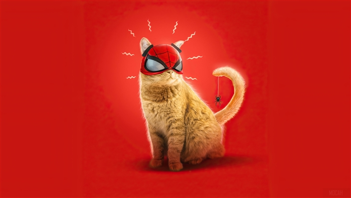 Spider Cat from Marvel's Spider Man Miles Morales 4K