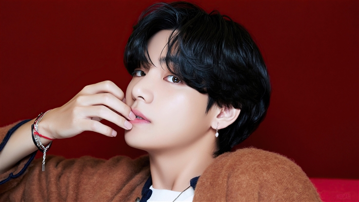 V from BTS in Soft Brown Sweater 4K