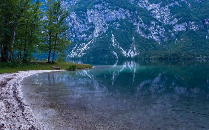 Lake Bohinj with mountains and trees