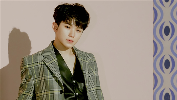 Woozi from Seventeen wearing a plaid jacket
