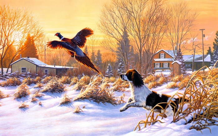 Pheasant flying over a dog in a snowy landscape at sunrise