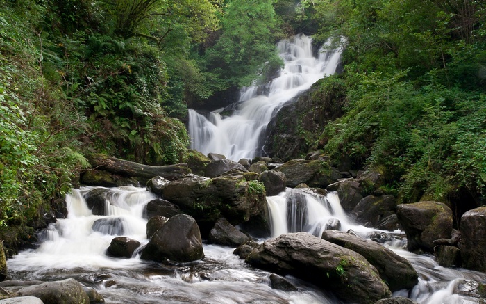 Waterfall cascading over rocks in a forest