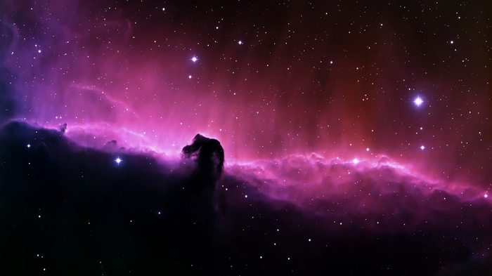 Horsehead Nebula in Space with Stars
