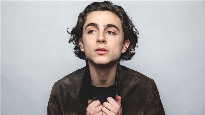 Timothee Chalamet in a Photoshoot 4K