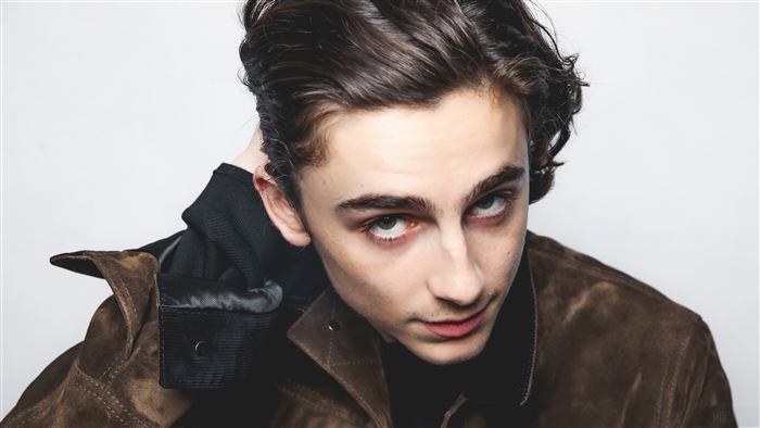 Timothee Chalamet in a photoshoot