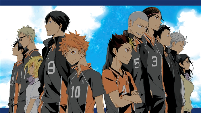 Haikyuu Karasuno Volleyball Team 4k