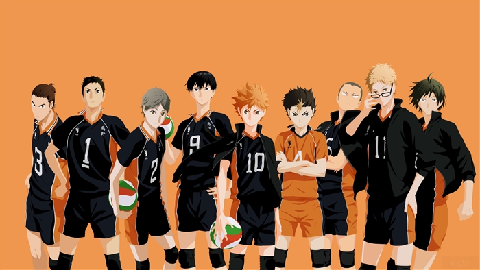 Haikyuu Karasuno Volleyball Team 4k