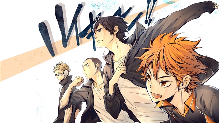 Haikyuu Karasuno Team Intense 4K
