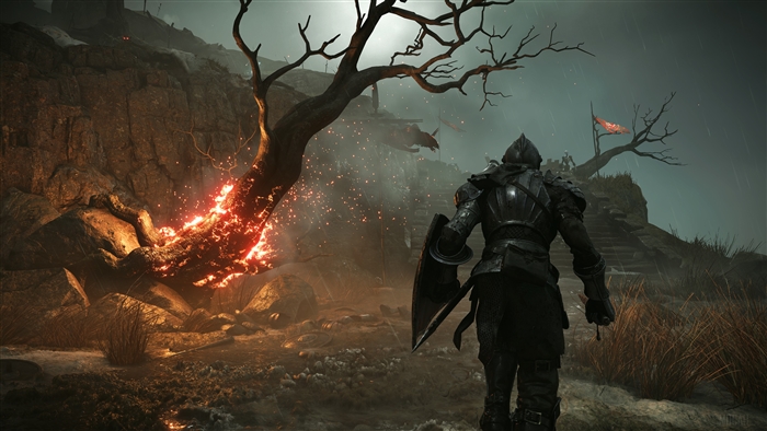 Knight in armor with shield in Demon's Souls