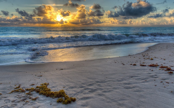 Sunrise over the ocean with waves and clouds