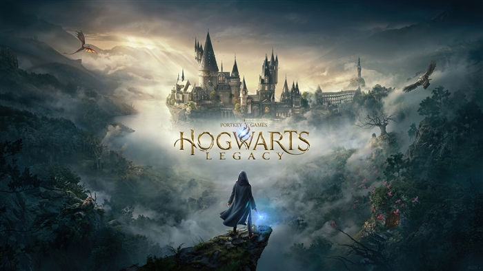 Hogwarts Legacy Video Game 4K