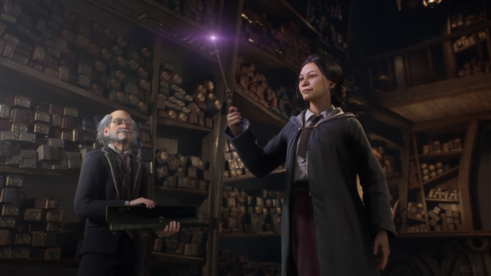 Hogwarts Legacy Video Game Screenshot 4K