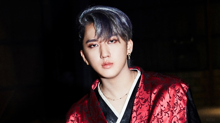 Seo Chang Bin from Stray Kids