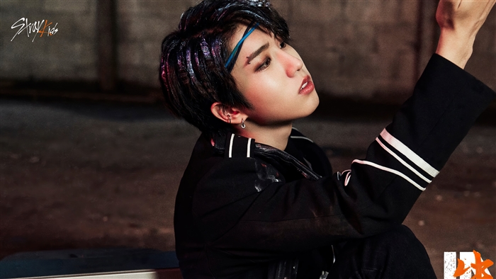Han Ji Sung from Stray Kids