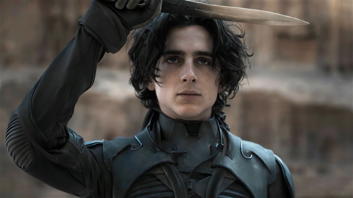 Paul Atreides Holding Sword Dune 4K