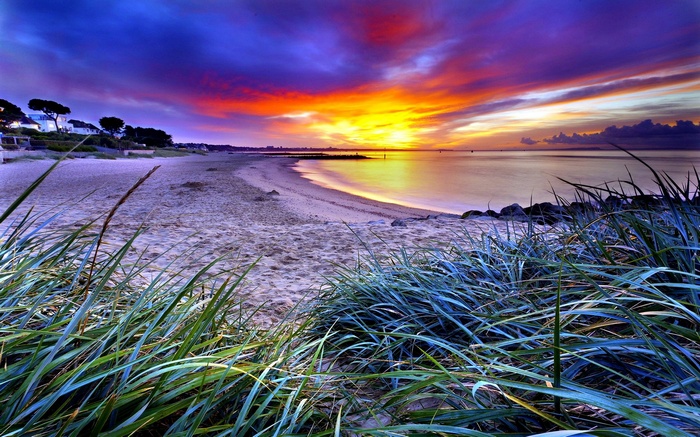 Beach at sunset with colorful sky and grass