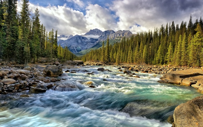 Mountain River Flowing Through Alberta Forest