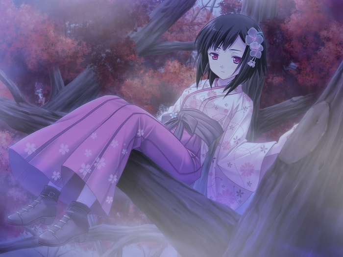Girl in Kimono Sitting on a Tree Branch