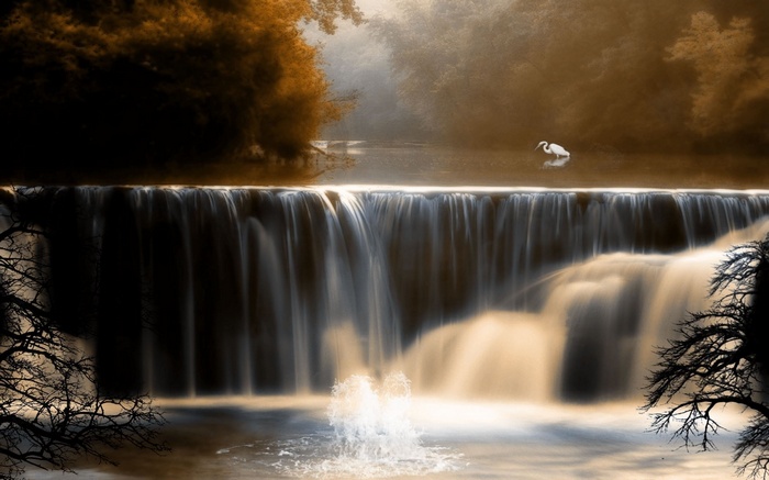 Waterfall with a bird and trees