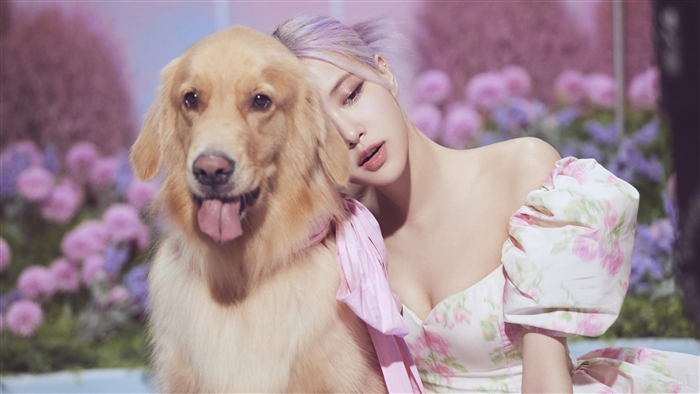Rosé from BLACKPINK with a Golden Retriever