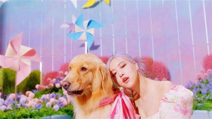 Rosé from BLACKPINK with a golden retriever