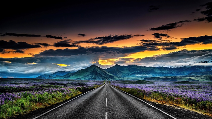 Icelandic Road Through Purple Fields at Sunset 4K