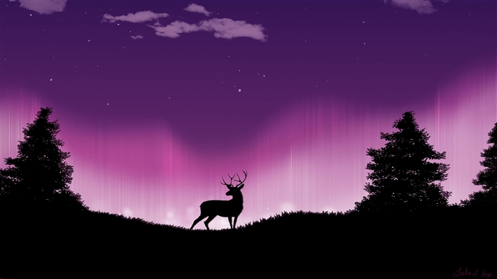 Deer silhouette under aurora borealis