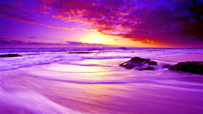 Purple Sunset over a Beach with Waves