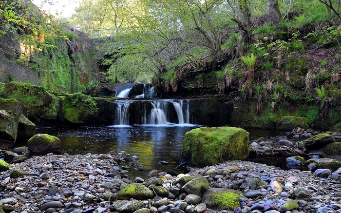Waterfall cascading over rocks in a forest