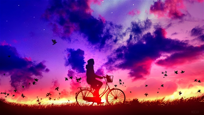 Silhouette of a person on a bicycle against a colorful sunset sky
