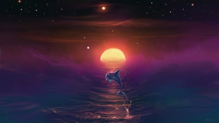 Dolphin jumping out of the ocean at sunset