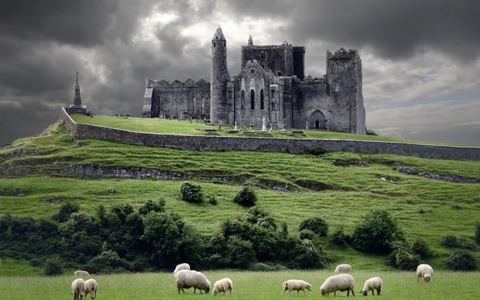Historic Rock of Cashel in Ireland with Grazing Sheep