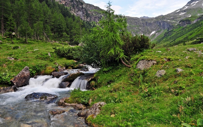 Mountain stream flowing through a green alpine valley