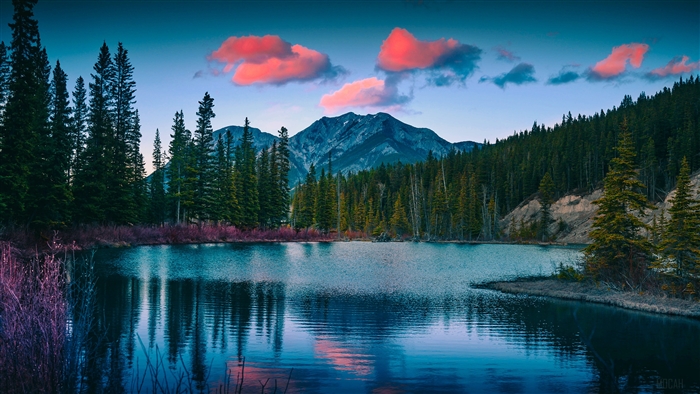 Mount Lorette Ponds with Pink Clouds and Pine Trees 4K