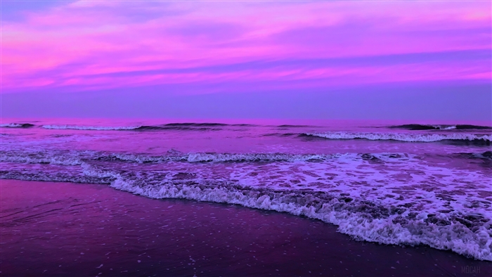 Purple Seascape with Waves and Clouds 4K