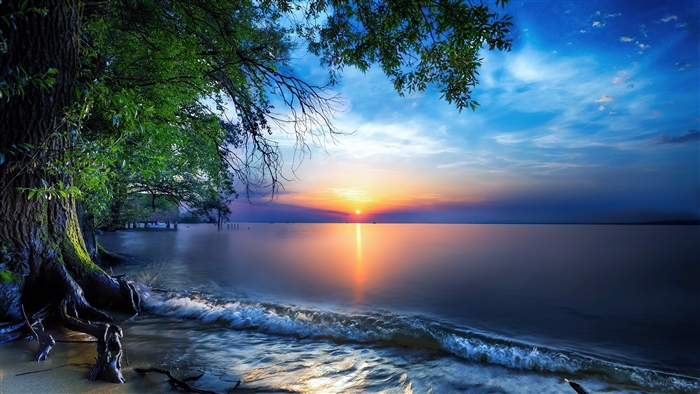 Sunrise over the sea with a tree on the shore