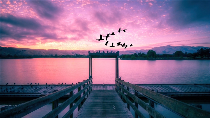 Lake and Dock at Sunset with Birds Flying