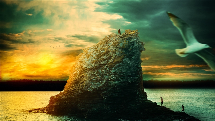 Cliff overlooking sea at sunset with seagull