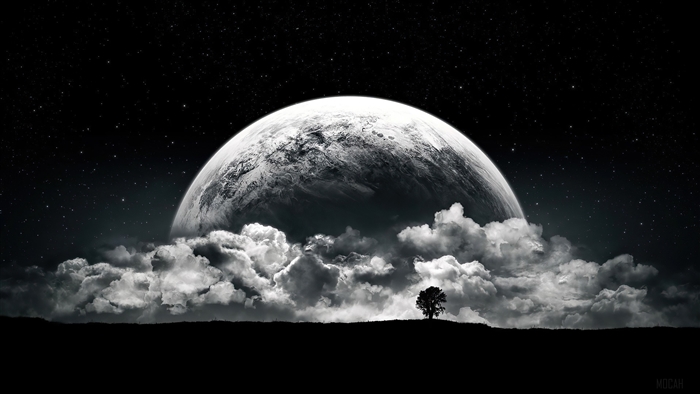 Full Moon Rising Over Clouds with Lone Tree on Horizon 4K
