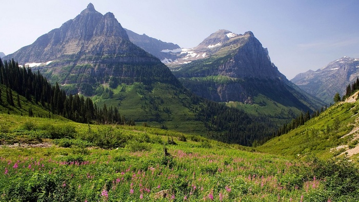 Mountains and green valley with wildflowers