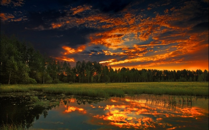 Sunset over a lake with reflections and trees