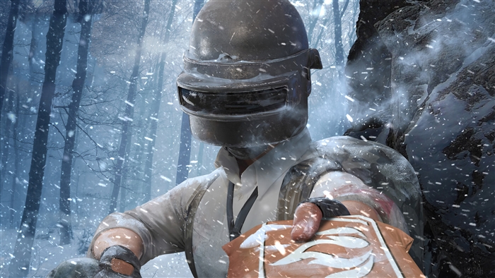 PUBG Mobile Level 3 Helmet in Arctic Mode