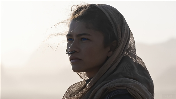Chani from Dune 4K
