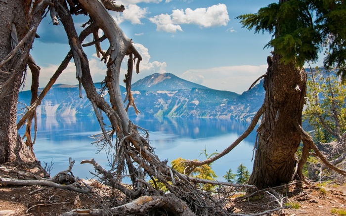 Crater Lake National Park with dead trees in foreground