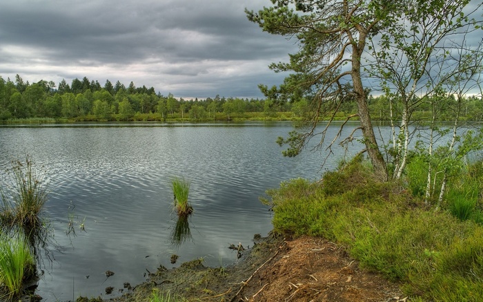 Lake surrounded by trees under a cloudy sky