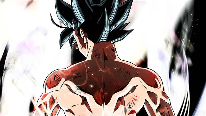 Goku Ultra Instinct Back View Dragon Ball Super 4K