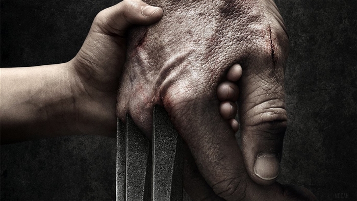 Wolverine and X-23 Hands with Claws 4K