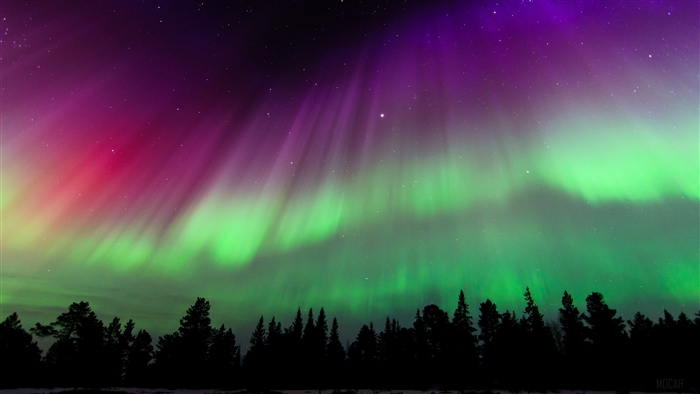 Aurora Borealis over Norway with Stars 4K