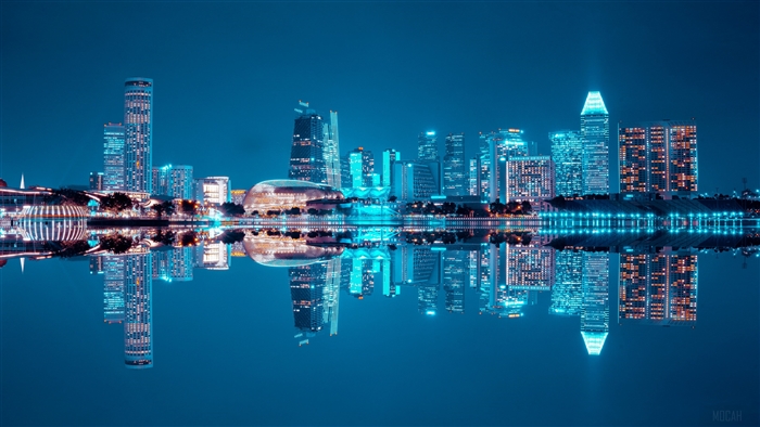 Singapore Cityscape at Night with Reflections 4K